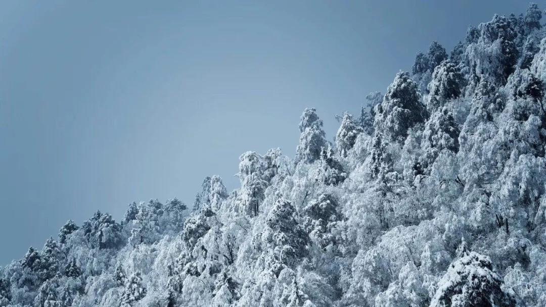 探索汽车轮毂沾上水泥对汽车高速行驶有什么影响? - 发现热门话题,了解全球动态